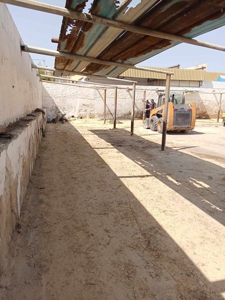 صيانة المحيط الخارجي للمسلخ البلدي الى حين انطلاق مشروع التهيئة.