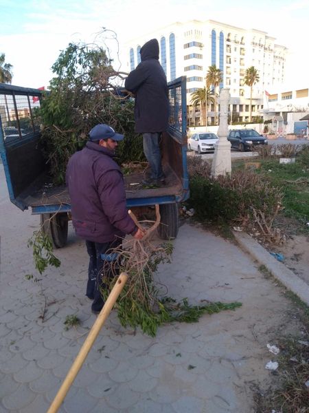 الأربعاء 24 جانفي 2024: صيانة و تنظيف المنطقة الخضراء بشارع الجمهورية.