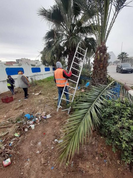 السبت 30 ديسمبر 2023: تتواصل حملة تنظيف وتشذيب الأشجار بحديقة شارع منصور السخيري.