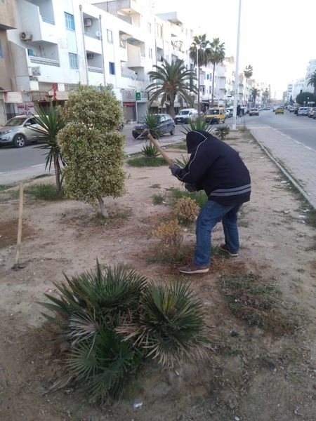 الأربعاء 03 جانفي 2024: صيانة و تنظيف المساحات الخضراء وسط المدينة.