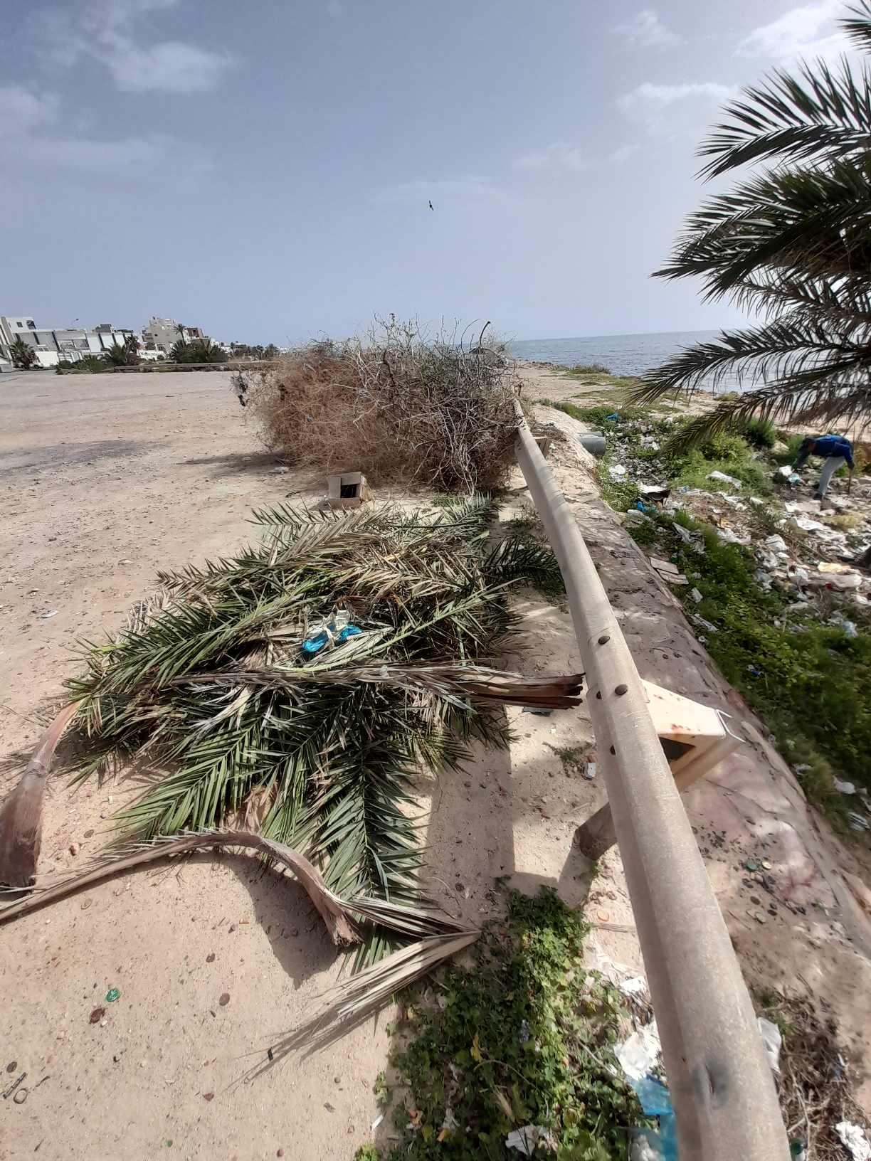 حملة ازالة الفضلات واغصان الاشجار ورفعها من فسحة شاطىء سطح جابر والحملة متواصلة لقلع الاعشاب وتشذيب الاشجار، وسيتم التدخل بالتنسيق مع فريق من مصلحة المناطق الخضراء.