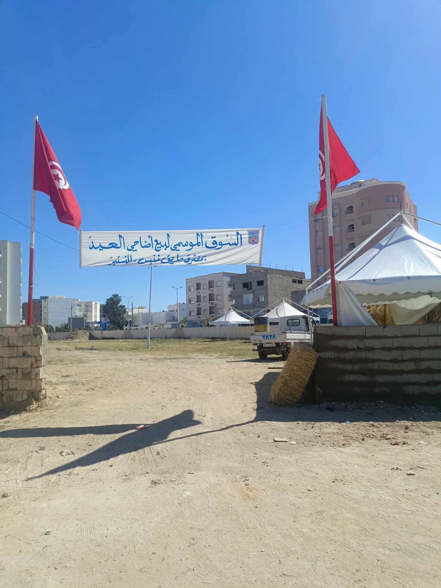 اليوم الجمعة 07 جوان 2024 تم فتح السوق الموسمية لبيع الاضاحي بمفترق طريق خنيس حذو اقامة المرابطين